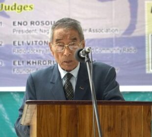 Nagamese would swallow Naga indigenous languages: Liezietsu