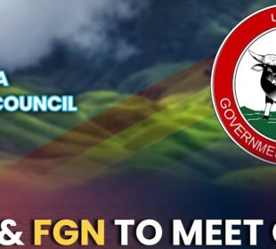Change in the NNC top leadership and NFG