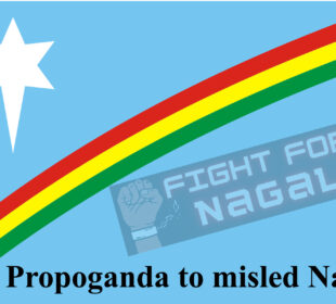 NSCN(I M) says that it is Propoganda to misled Nagas