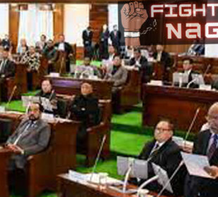 Nagaland Municipal Bill of 2023 will be examined by the 7 members