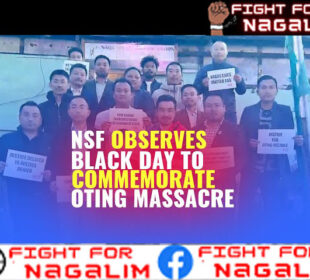 𝐍𝐒𝐅 𝐂𝐨𝐧𝐝𝐞𝐦𝐧𝐬 𝐀𝐅𝐒𝐏, 𝐎𝐭𝐢𝐧𝐠 𝐢𝐧𝐜𝐢𝐝𝐞𝐧𝐭 𝐟𝐨𝐫 𝐤𝐢𝐥𝐥𝐢𝐧𝐠 𝐢𝐧𝐧𝐨𝐜𝐞𝐧𝐭 𝐍𝐚𝐠𝐚