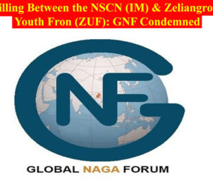 Killing Between NSCN (IM) & (ZUF): GNF Condemned